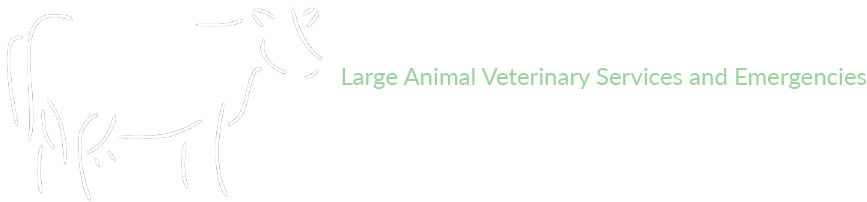 Large Animal Veterinary Services and Emergencies